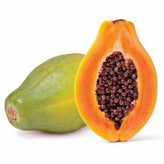 Papaya Seeds Rare Yellow Dwarf Waimanalo Natural Tropical Papaya Seeds Sl 1000