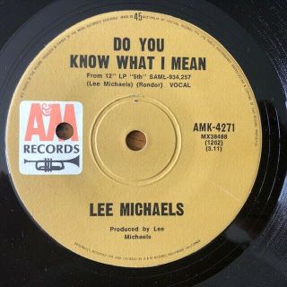 Lee Michaels - Rare Aussie A&m 45 " Do You Know What I Mean " 1971 Ex