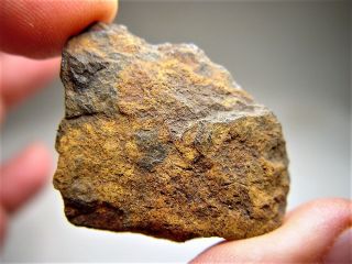 Very Rare Bendego Iron Meteorite Brazil 26.  7 Gms