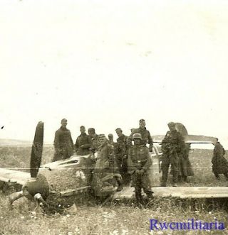 Rare Shot Down Luftwaffe Me - 109 Fighter Plane In Field; Calais,  France