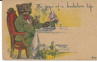 Antique Postcard Bear - " The Joys Of A Bachelor 