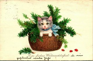 C44 - 8469,  Cat,  Real Photo Antique German Postcard.