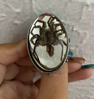 Alchemy Gothic Very Rare Wolf Spider Ring Size Q