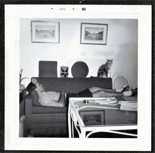 Antique Vintage Photograph Man Sleeping With Cat Sitting On Back Of Couch