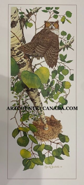 Bev Doolittle Whoo? Wss Rare Art Print With Write Up Camouflage Owl Beaver