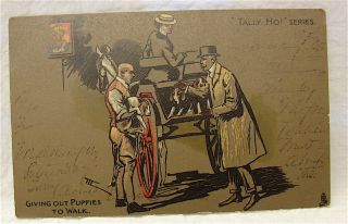 Antique R.  Tuck & Sons - - - " Tally Ho " Series Post Card - - - " Giving Out Puppies " 1905