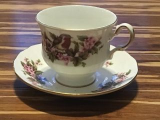 Queen Anne Teacup & Saucer - Robin Bird & Cherry Blossom Tree - Old Ceramic C679