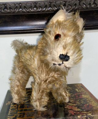 Antique Mohair Dog Terrier? Schnauzer? Steiff? Deans? Glass Eyes Turned Head
