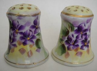 Antique Nippon Te - Oh China Hand Painted Salt & Pepper Shakers With Pansies