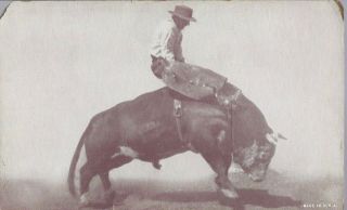 Antique Souvenir Photo Rodeo Bull Rider