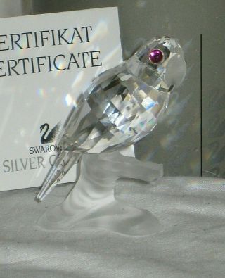 Rare Swarovski Silver Crystal Parrot Figurine W/box 7640 Nr 060