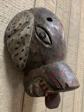 Vintage Folk Art Wood Carved Dog Wolf Face Mask Hand Carved Painted Rare