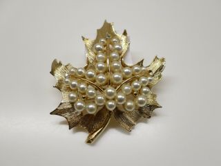 Vintage Signed Lisner Gold Tone Maple Leaf With Pearls Pin Brooch