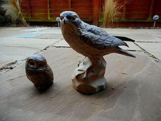 Rare Poole Falcon / Merlin Bird Of Prey & Owl By Barbara Linley Adams Signed Em