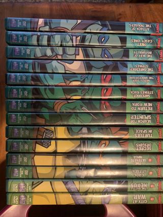 Teenage Mutant Ninja Turtles Tmnt 2003 Tv Series Real Set 14 Dvds Rare