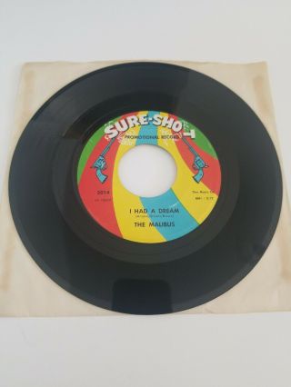 Northern Soul 45 Rpm The Malibus On Sure - Shot Records Rare Promotional Nr.