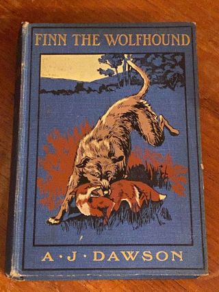 Rare Irish Wolfhound Dog Story Book " Finn The Wolfhound " 1st 1908 490 Pages