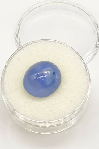 Rare $5000 12ct Natural Oval Cut Ceylon Blue No Heat Star Sapphire Loose Gem