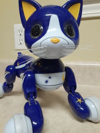 Spin Master Toys Adorable Zoomer Kitty Robot Toy.  Rare Blue 2