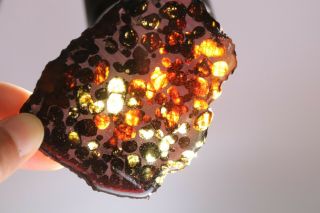 50g RARE slices of Kenyan Pallasite Meteorite Olive R4057 2