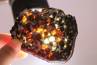50g RARE slices of Kenyan Pallasite Meteorite Olive R4057 3