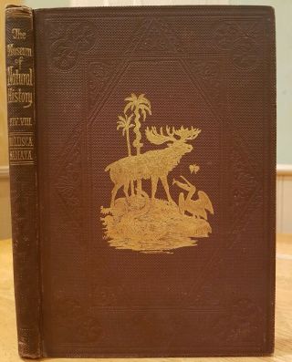 Rare Natural History Book,  The Museum Of Natural History Molusca Radiata 1st E.