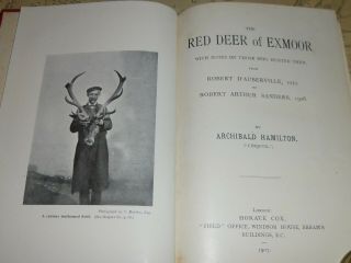Rare 1st Edition The Red Deer Of Exmoor By Archibald Hamilton 1907.