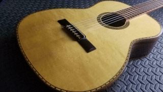 Rare 1977 Giannini Awn 300 Brazilian Rosewood Classical Nylon Guitar I