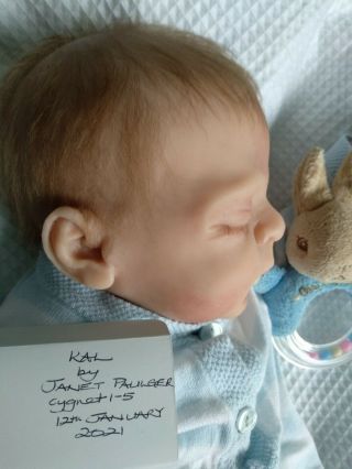 Silicone Reborn Baby Boy Or Girl By Janet Paulger Make This Rare Baby Yours