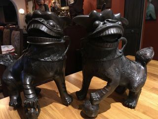 Bronze Metal Foo Dog Pair Rare Male Female Large 15 Inches Tall Asian Chinese