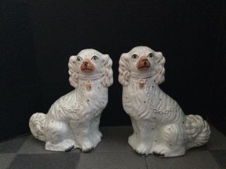 Large Stunning Rare Pair English Porcelain Staffordshire Spaniel Mantle Dogs