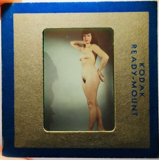 Vtg Rare 50’s Spectacular Bettie Page Camera Club 35mm Transparency Slide Nude