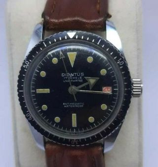 Rare Diantus Vintage Skin Dive Watch Diver Date 20 Atm Men 1970 S