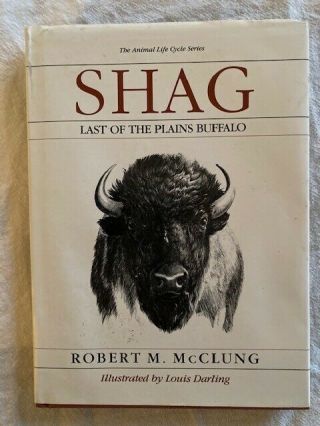 Extremely Rare Shag Last Of The Plains Buffalo By Robert Mclung