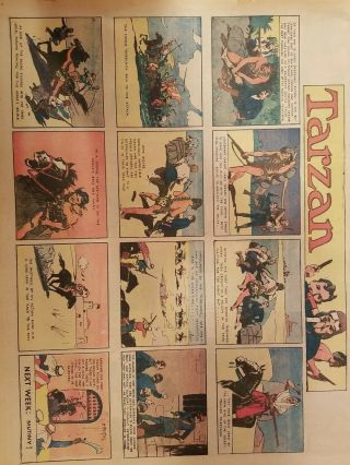 70,  Sunday Pages Edgar Rice Burroughs Tarzan Rare - By Foster And Hogarth 