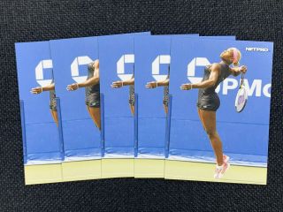 (5) 2003 Netpro Photo Card Serena Williams 2 - Rare - Cards -