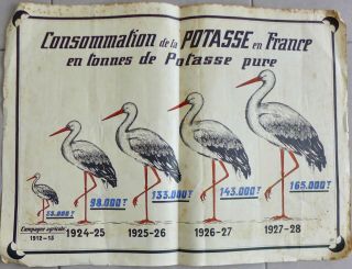 Rare Affiche Ancienne Consommations De Potasse Pour L Agriculture 1912 /1928