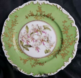Antique T&v Limoges France Hand Painted Orhids Plate Signed By Artist Rare 10