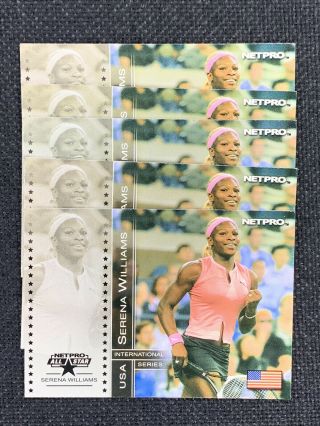 (5) 2003 Netpro Int.  Series Serena Williams 82 - Rare - Cards -