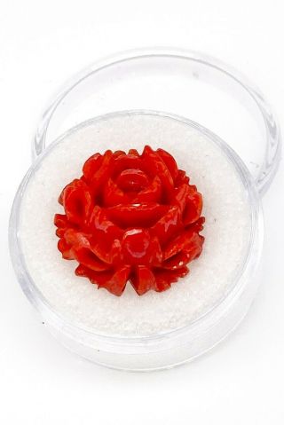 Rare Deep Red Orange $2000 15ct Natural Rose Flower Coral Loose Gem