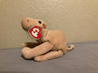Ty Beanie Baby Humphrey The Camel Rare 3rd Gen 1st Gen Tags Not Authenticated
