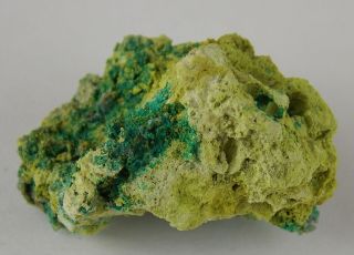 Rare Philipsbornite And Brochantite Crystals - 2.  5 Cm - Grandview Mine,  Az 23958