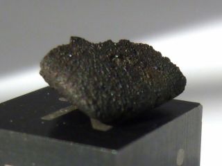 Oriented & Incomplete Meteorite Aguas Zarcas,  Cm2,  2019 Fall,  Rare,  Pre - Rain