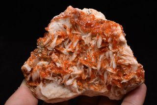 448g Natural Vanadinite Barite Crystal Cluster Rare Mineral Specimen Morocco