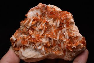 448g Natural Vanadinite Barite Crystal Cluster Rare mineral specimen Morocco 2