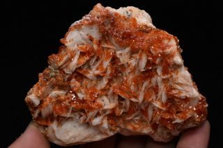 448g Natural Vanadinite Barite Crystal Cluster Rare mineral specimen Morocco 3