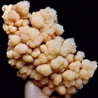 710g Rare Yellow Flower Shape & Spherical Calcite Crystal Cluster Specimen/china