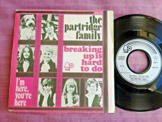The Partridge Family Breaking Up Is Hard To Do Rare French 7 " Picture Sleeve