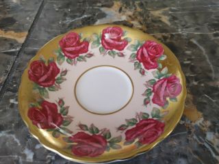 Rare Paragon Red Cabbage Roses Gilded Gold Saucer Only.