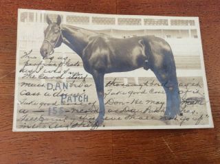 Rare Rppc Dallas,  Texas.  Race Horse.  Dan Patch 155.  Posted 1909.